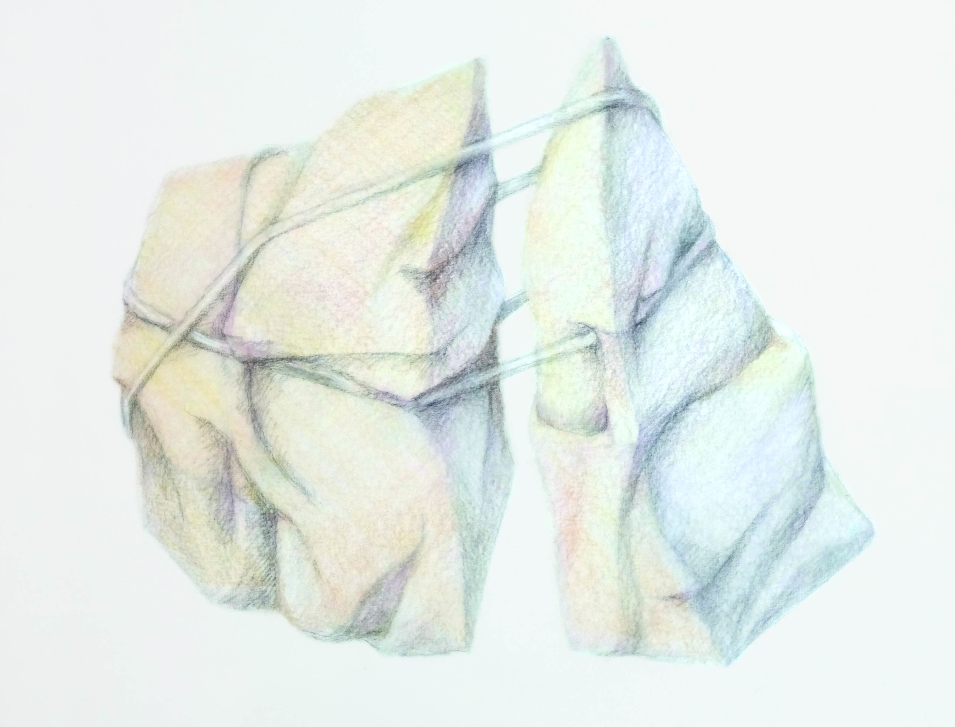 Zeichnung_Nora Roth_2017